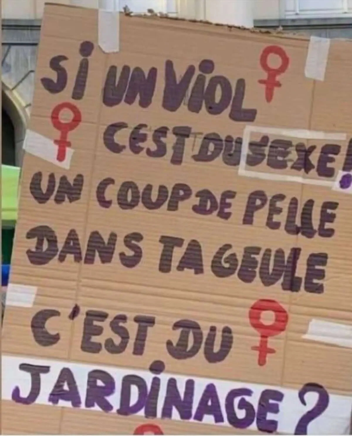 pancarte manifestation féminisite si un viol c'est du sexe, un coup de pelle c'est du jardinage