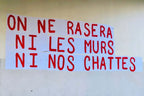 collages féministes on ne rasera ni les murs ni nos chattes