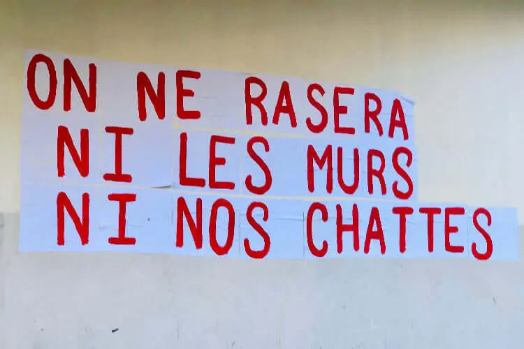 collages féministes on ne rasera ni les murs ni nos chattes