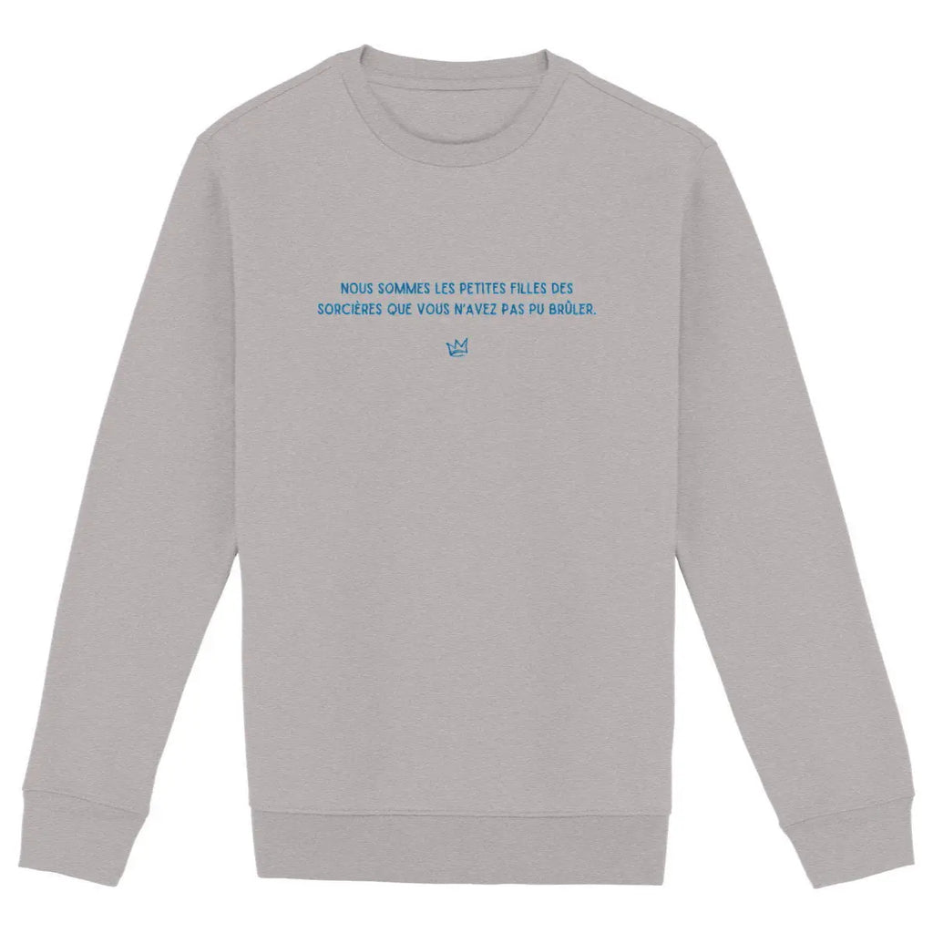 Nous sommes les petites filles des sorcières que vous n'avez pas pu brûler - sweat féministe gris