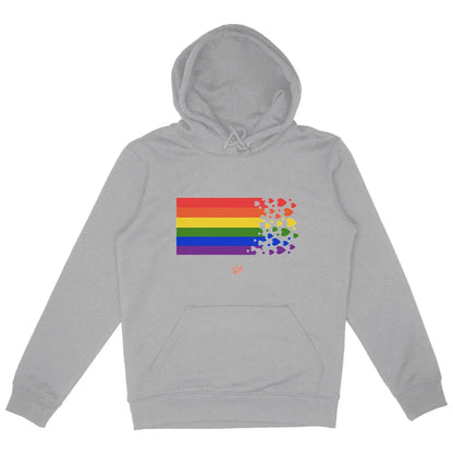 sweat arc en ciel - face_gris