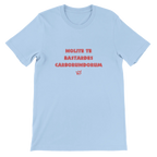 T-shirt unisexe bleu pastel avec inscription « Nolite te bastardes carborundorum » – t-shirt féministe inspiré de La Servante écarlate