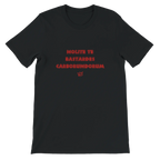 T-shirt unisexe noir avec inscription « Nolite te bastardes carborundorum » – t-shirt féministe inspiré de La Servante écarlate