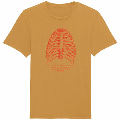 t-shirt femme côtes