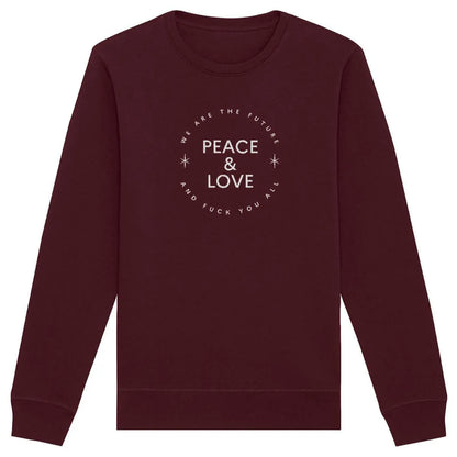 sweat shirt Peace & Love and fck you all